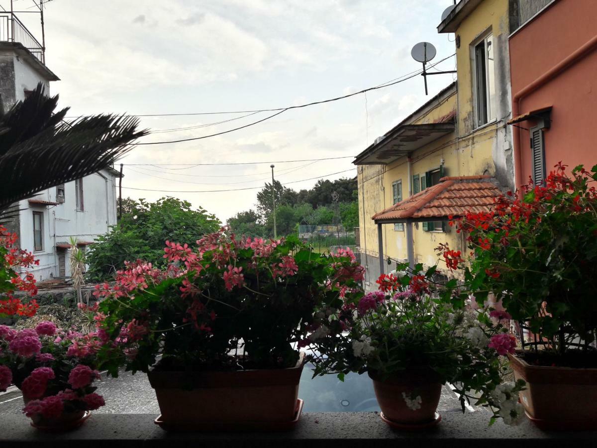 Bed and Breakfast La Caldera Del Vesuvio Ercolano Zewnętrze zdjęcie